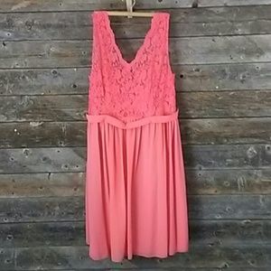 B2 Jasmine 28 Lace and sheer Dress NWT